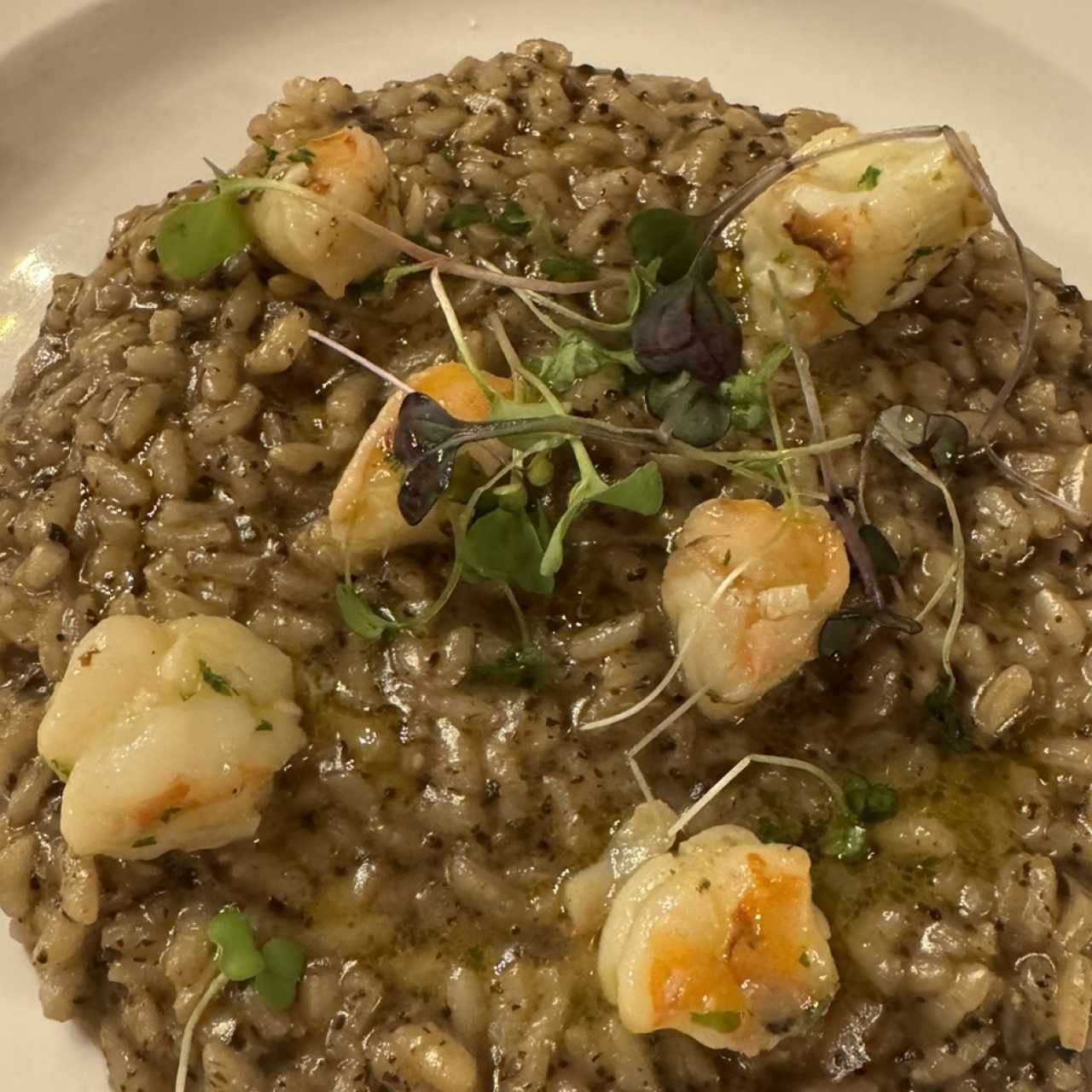 Risotto with Black Truffle and shrimp