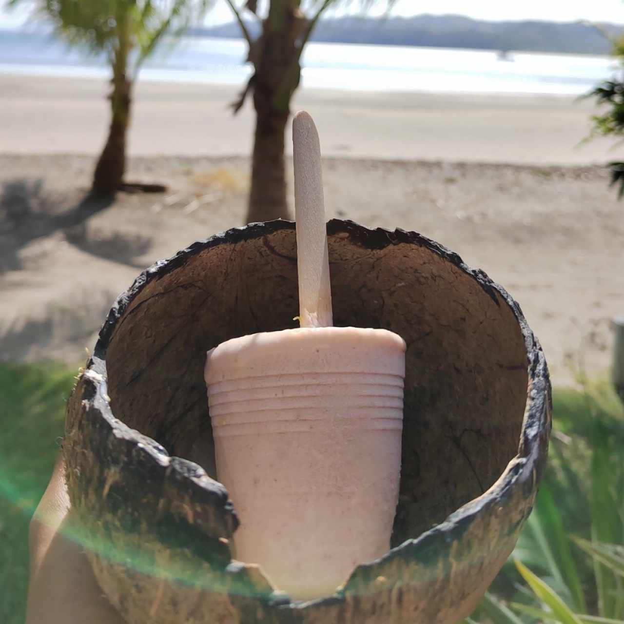 helado de fresa con coco