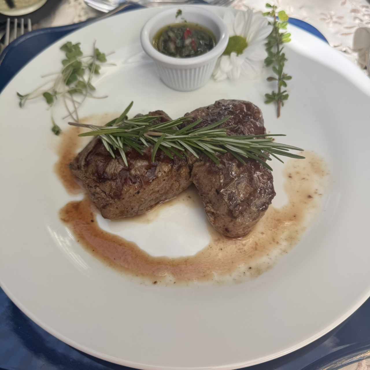 Filete de Res con chimichurri 