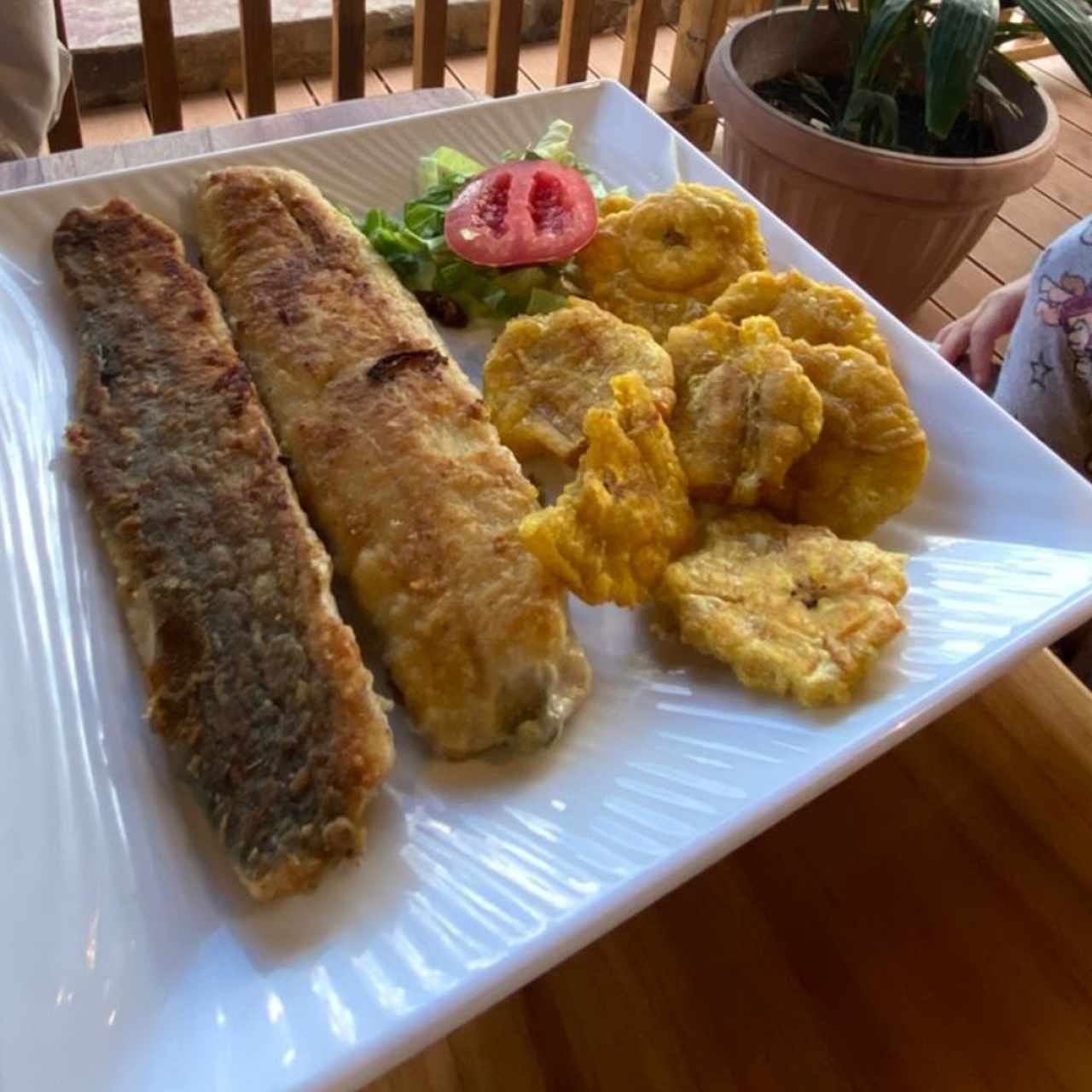 DEL MAR - Filete de corvina