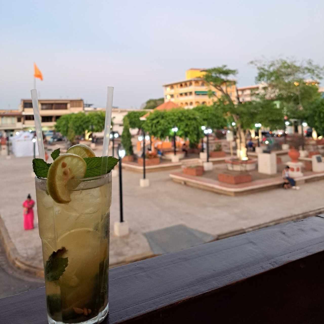 Mojito (con vista al Parque Porras)