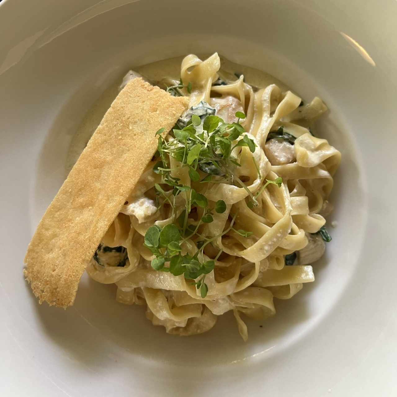 Fettuccine De Pollo Trufado