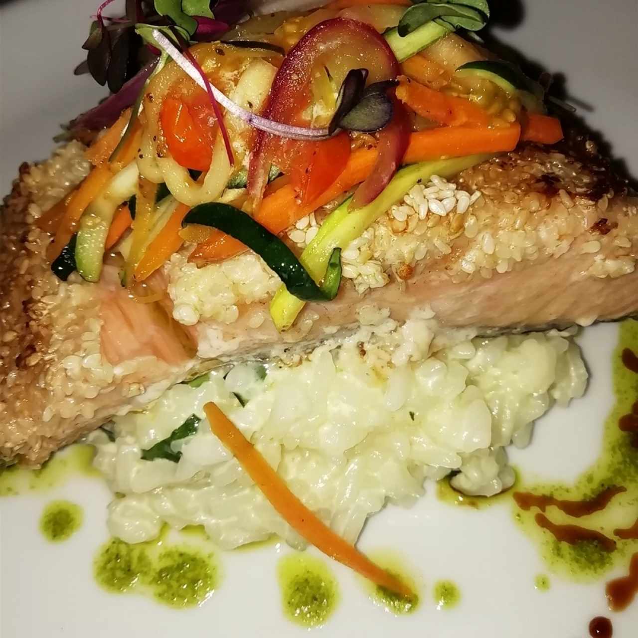 Salmon 