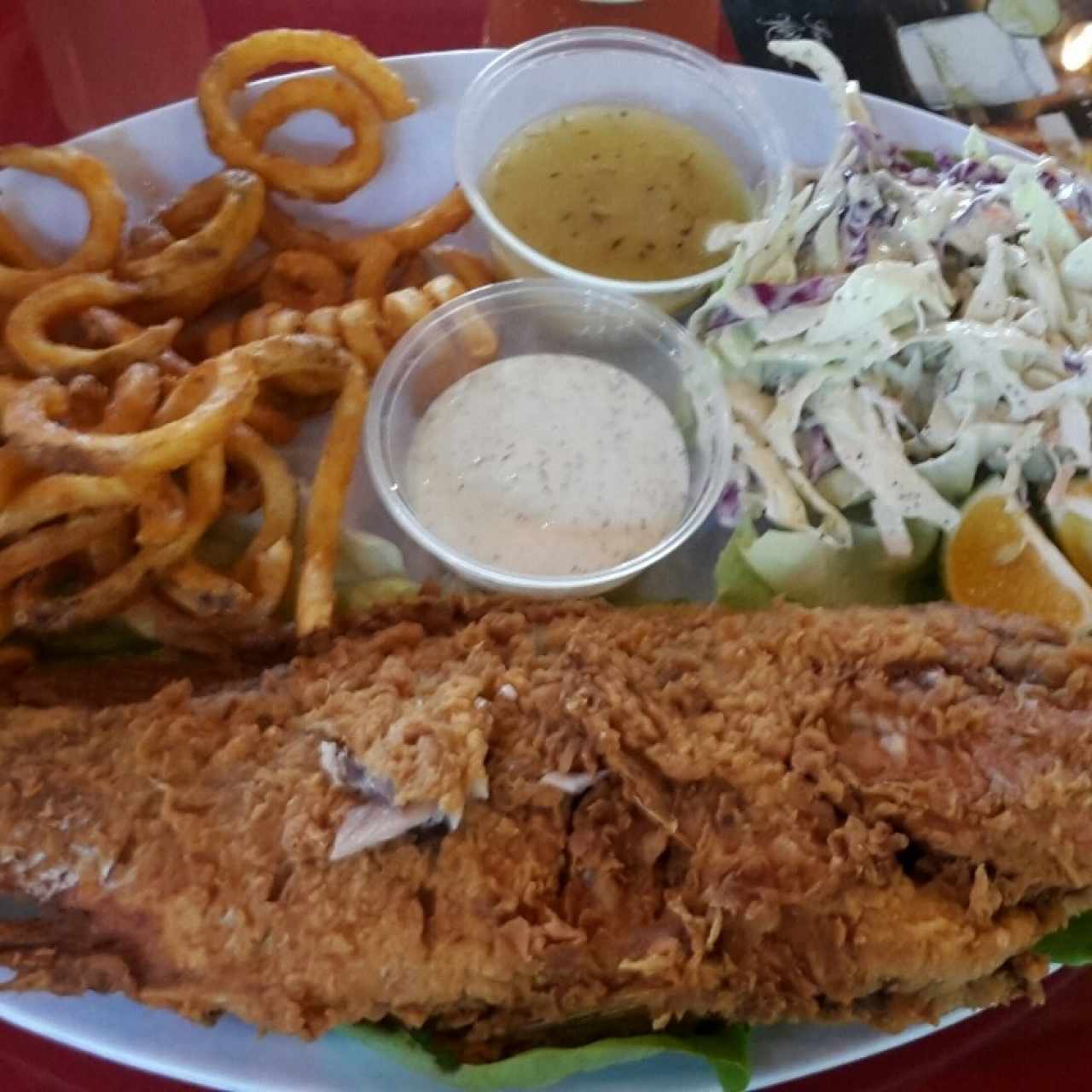Red Snapper Fish with Curled French fries & Salad