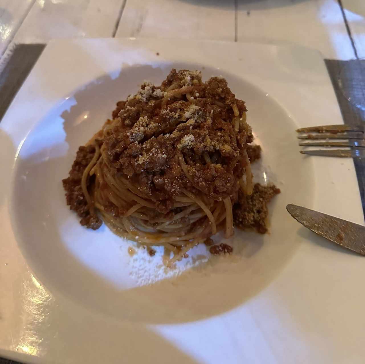 Spaguettis bolognesa 