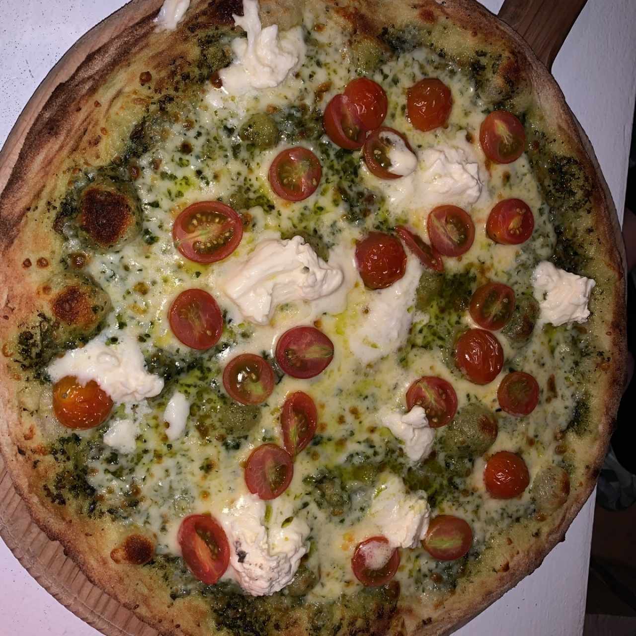 pizza genovese
