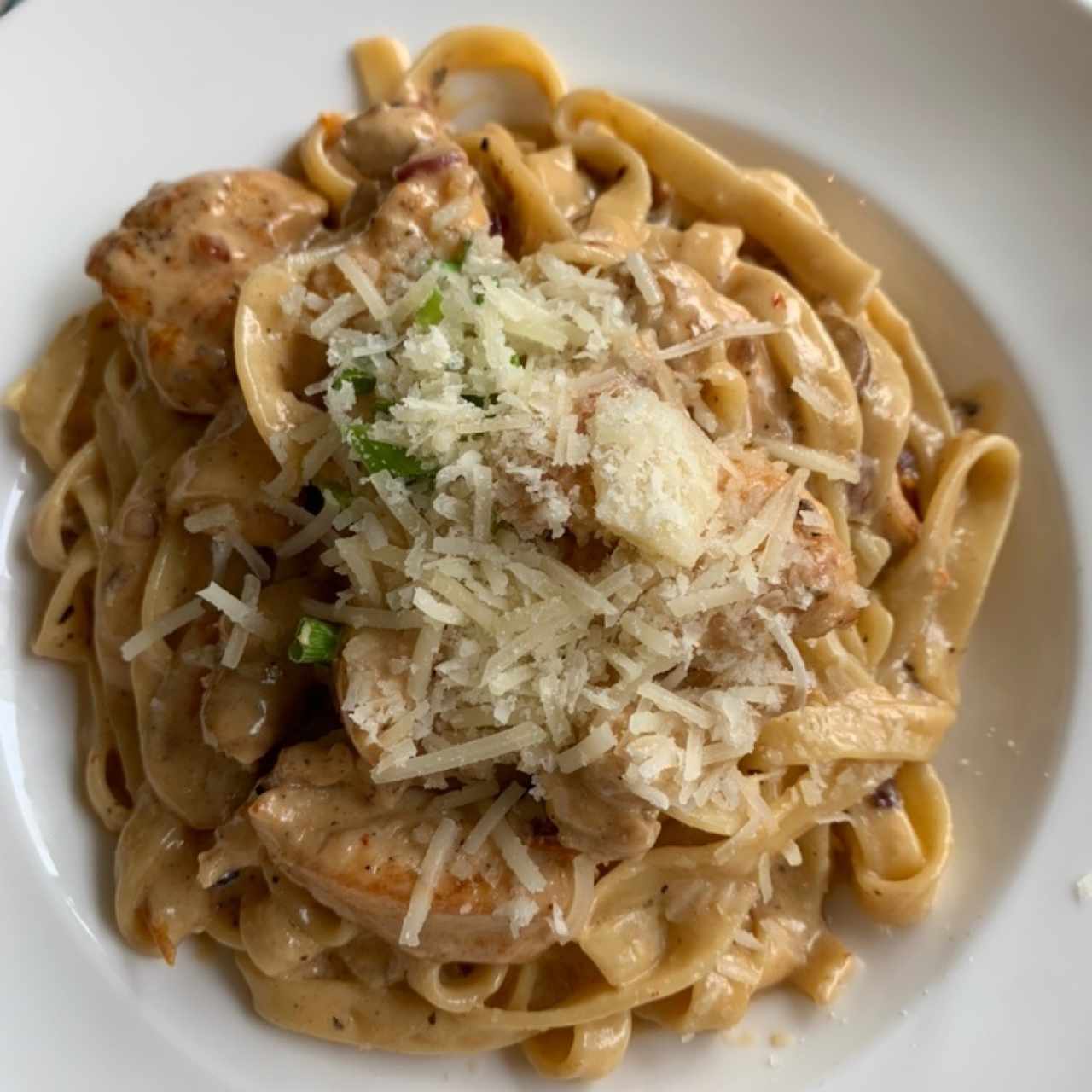 Pasta en crema de champinones con pollo