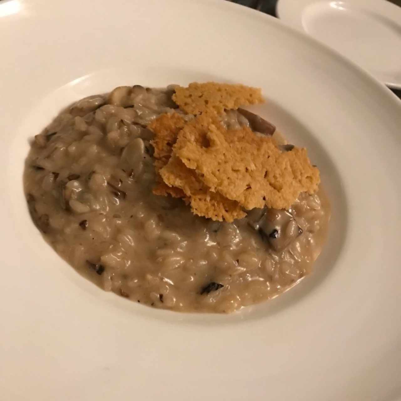 Risotto de Hongos