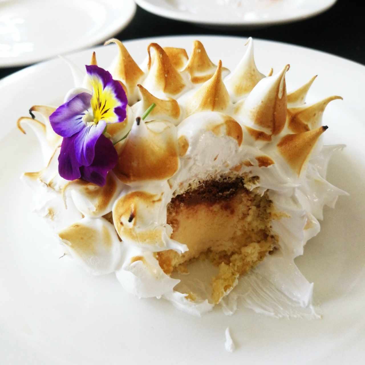 Baked Alaska