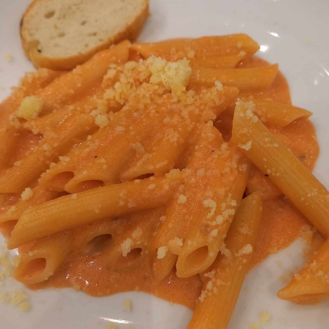 Penne salsa rosada y camarones