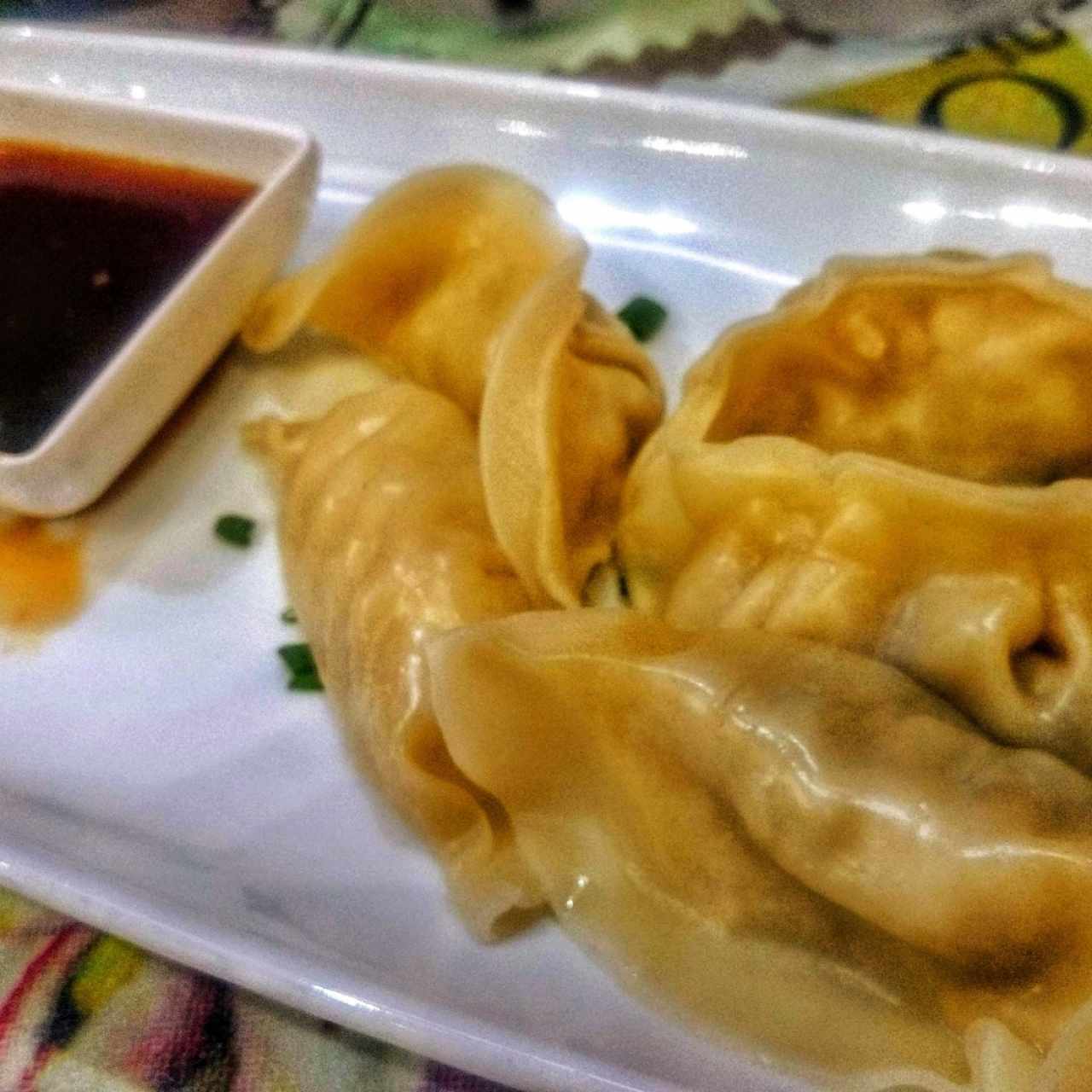 Tentadoras entradas - Gyozas mixtas