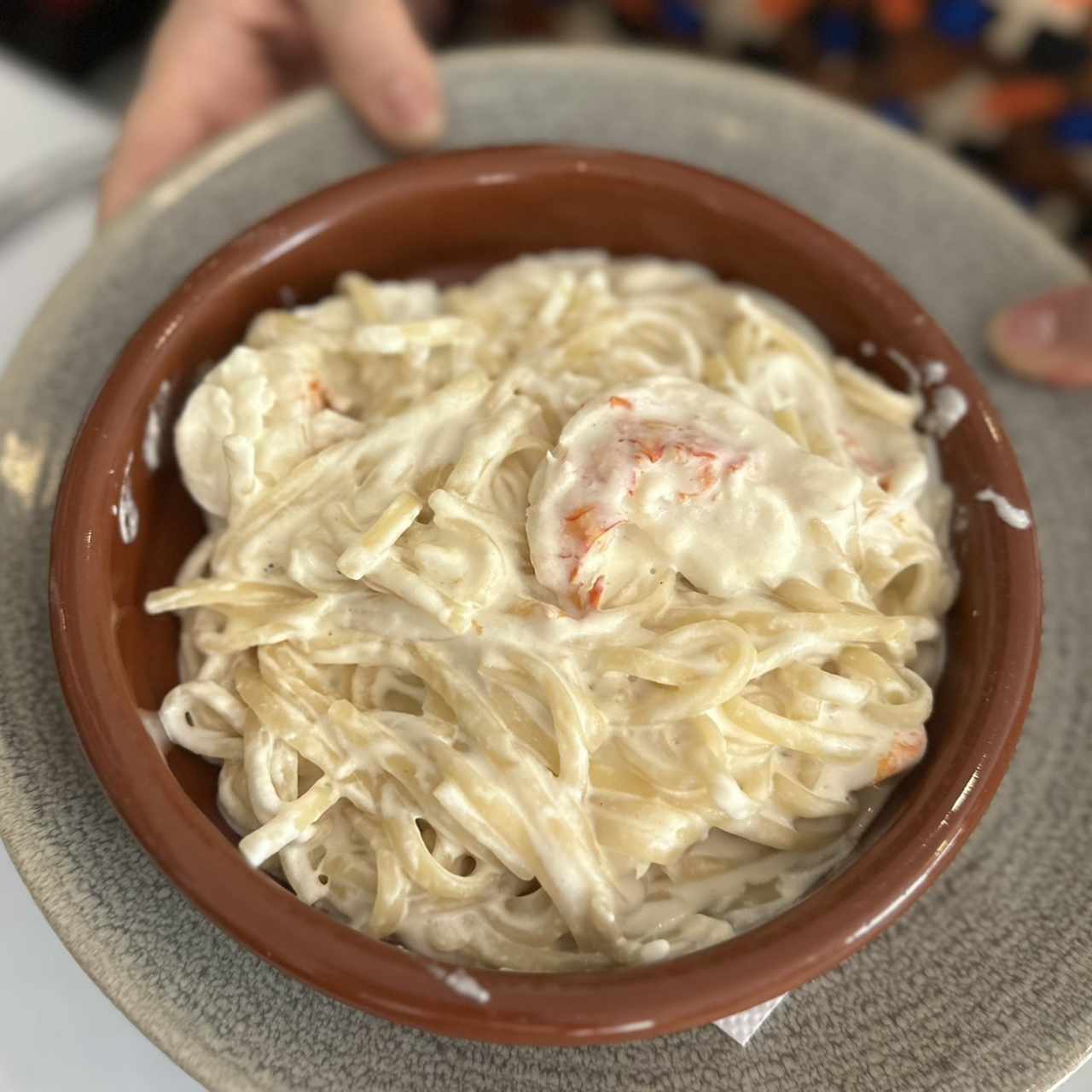 Linguini en salsa blanca con langosta 
