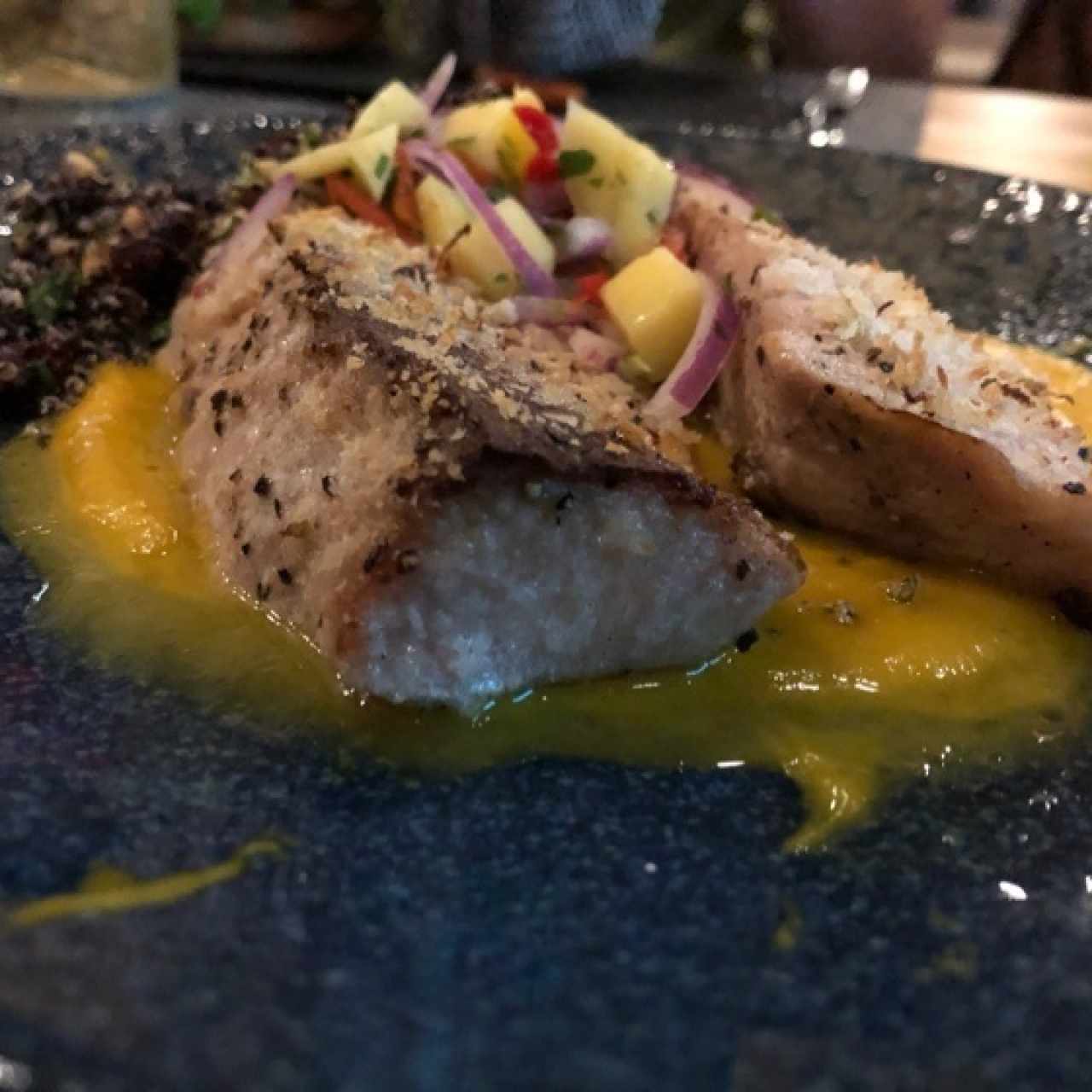 Cobia