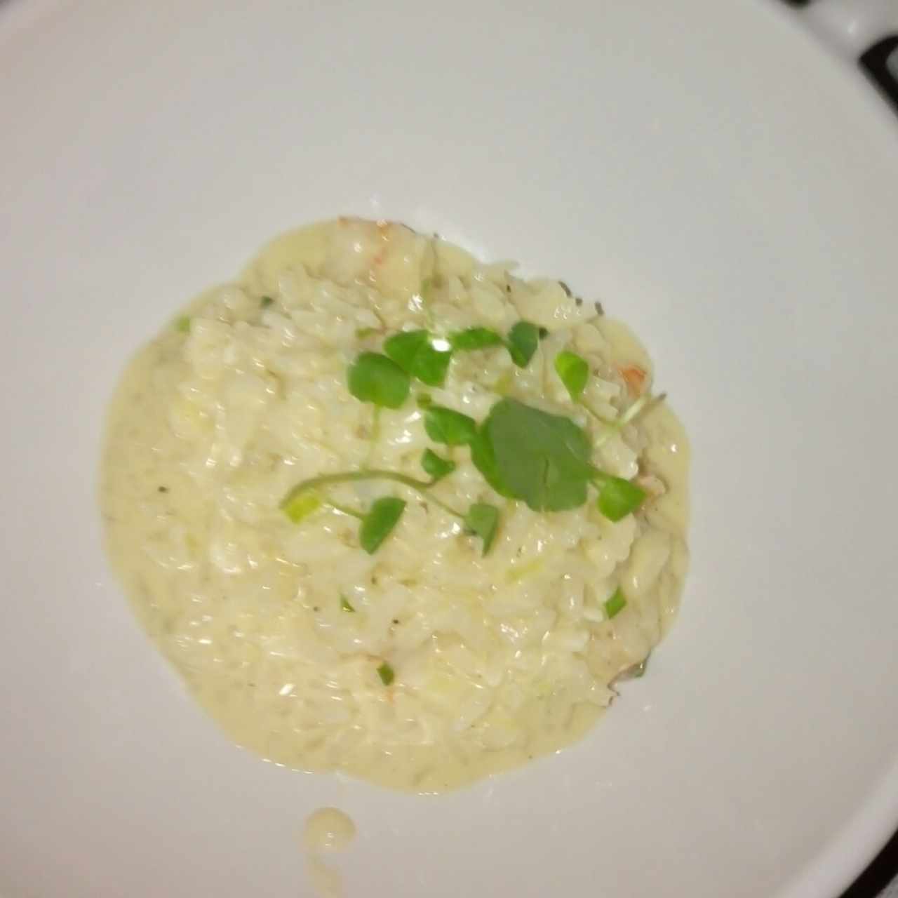 risotto de langostinos 