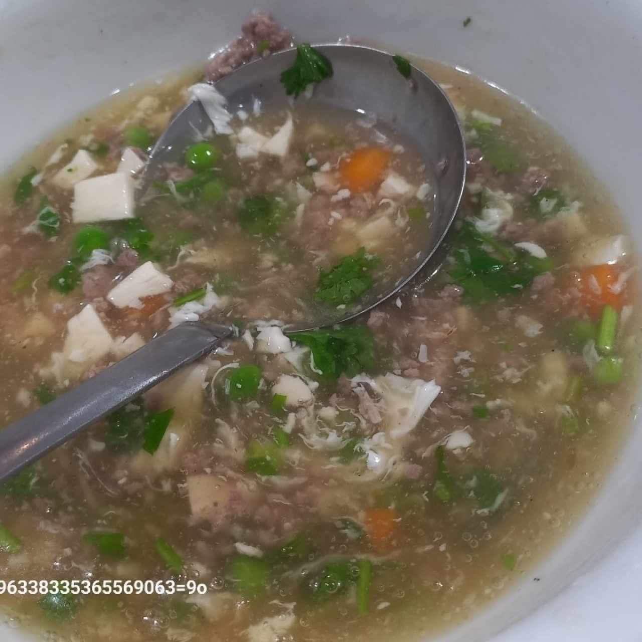 crema de carne con tofu