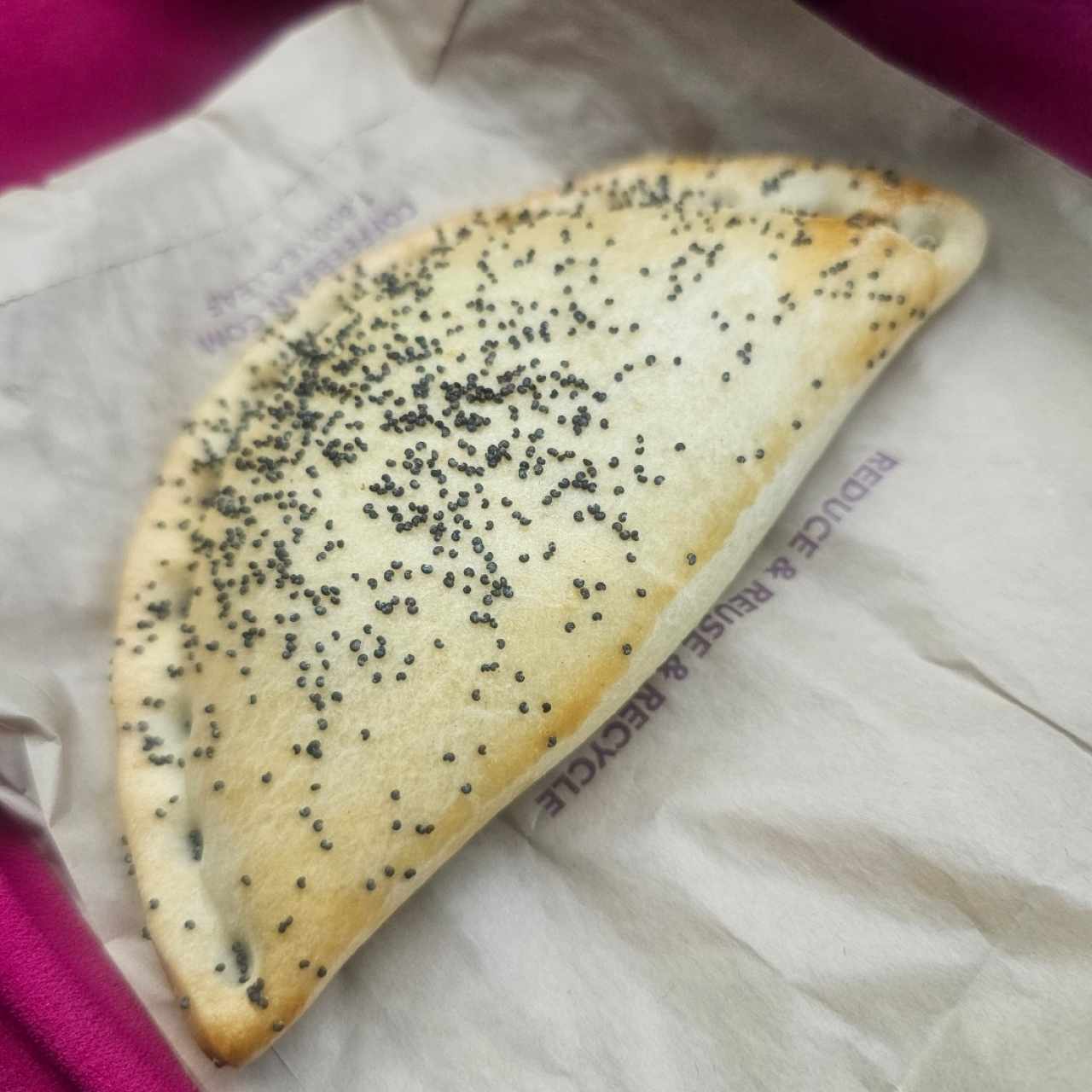 Empanada de Hongos Porcini