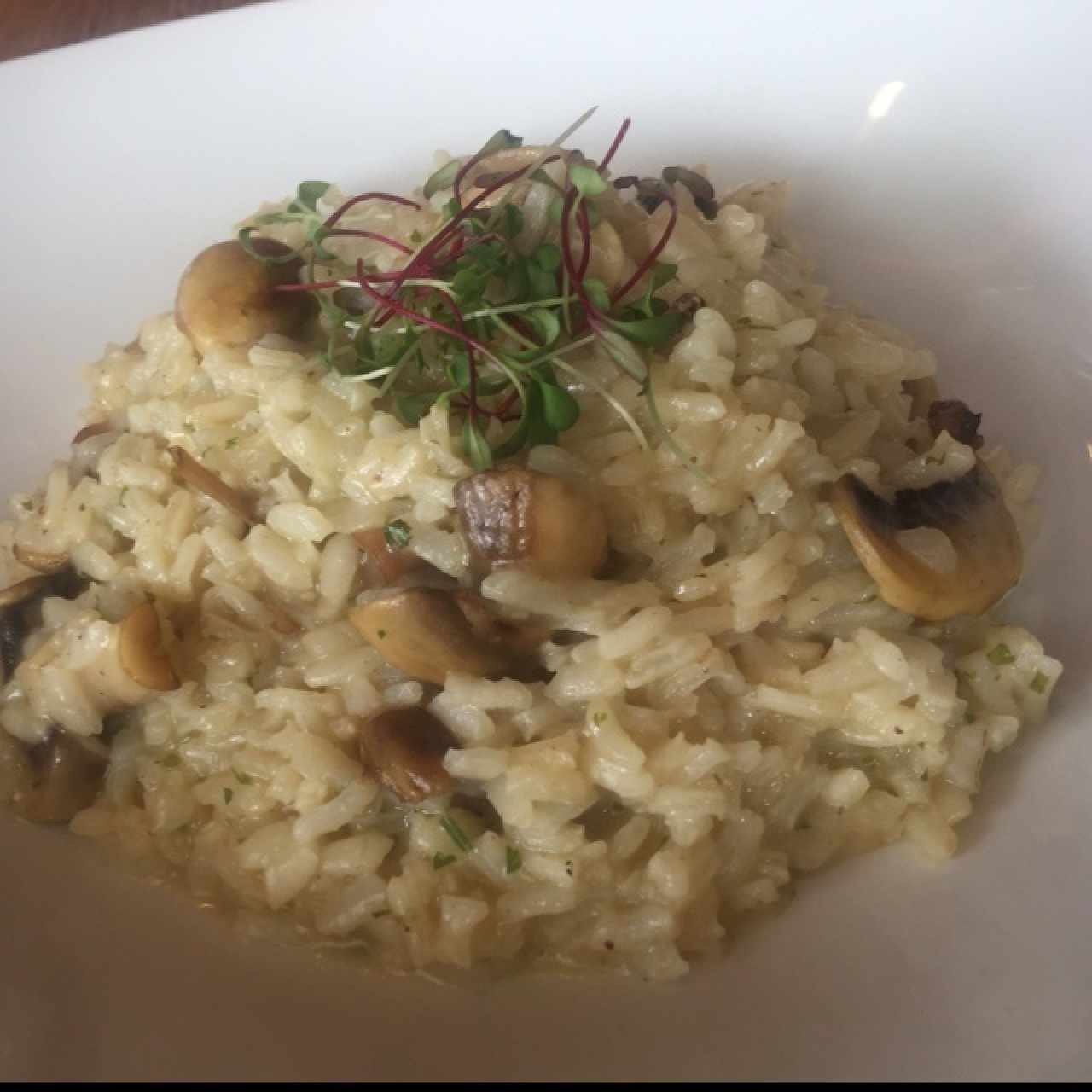 risotto de hongos