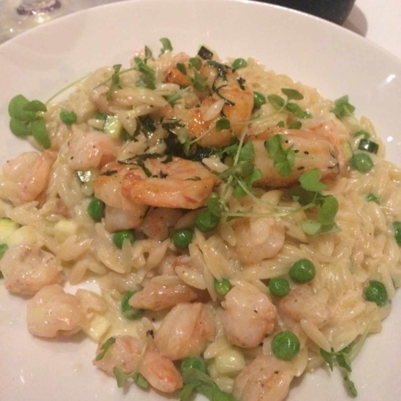 Orzo, preparado como un risotto, camarones rostizados al olio e hierbas