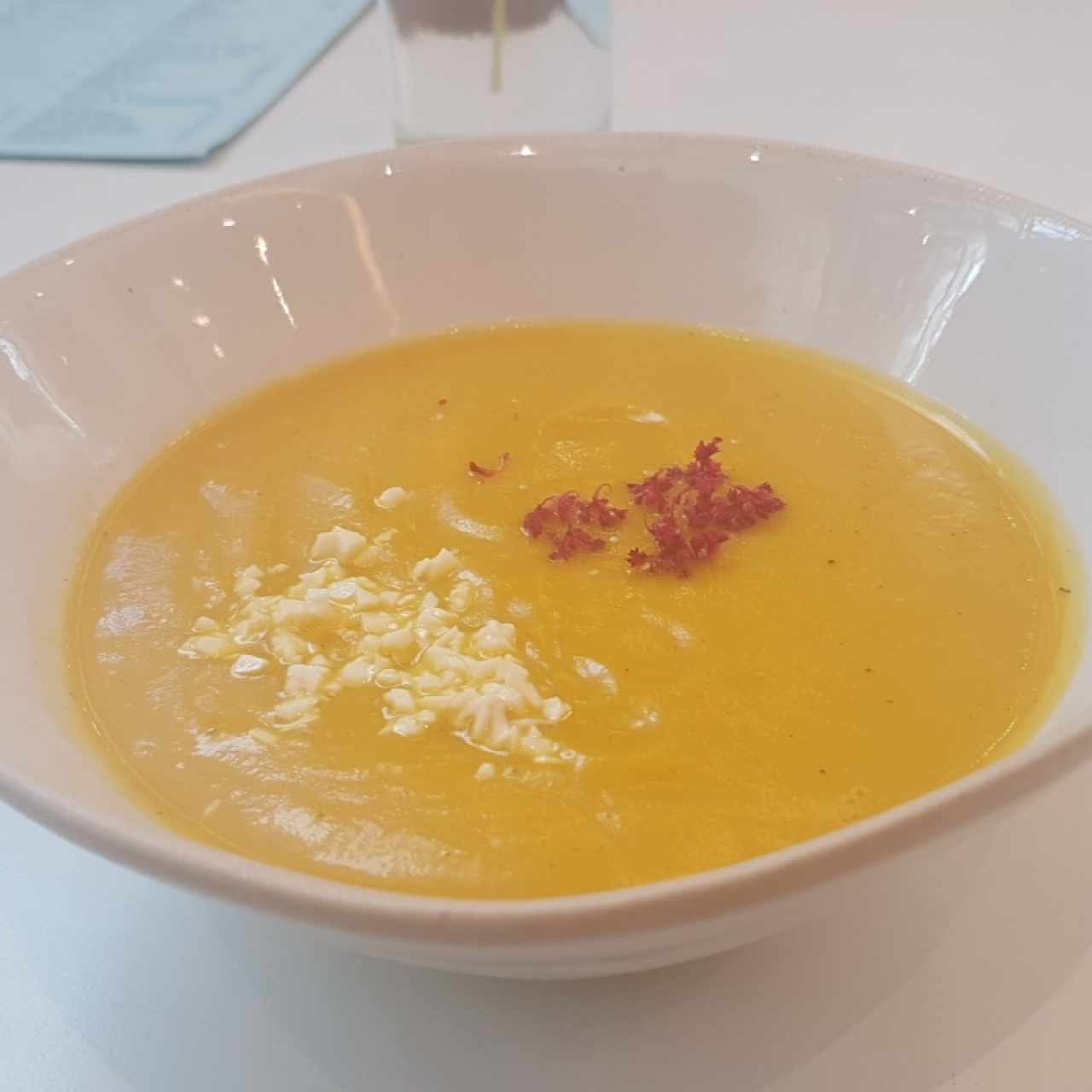 Sopa del Día, Zapallo