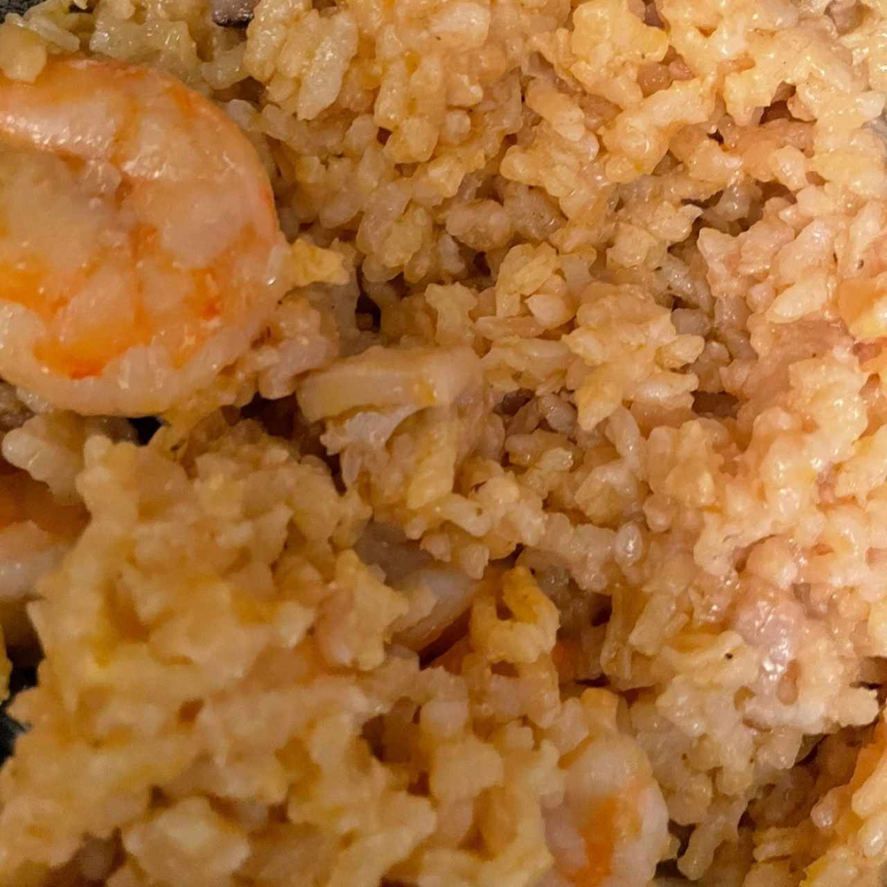 risotto fruto di mare