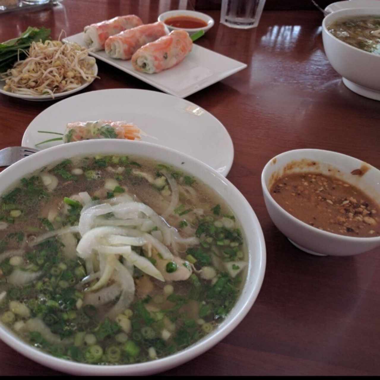 Sopa de pollo, fideos y cebolla / Rollos de camarón cpn salsa de maní