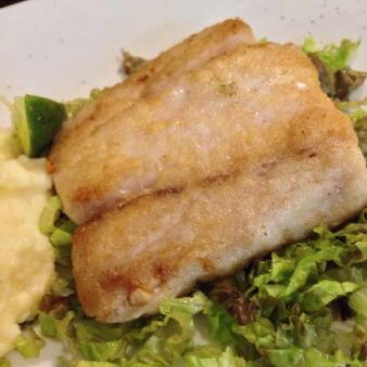 grilled Corvina and mashed potatoes