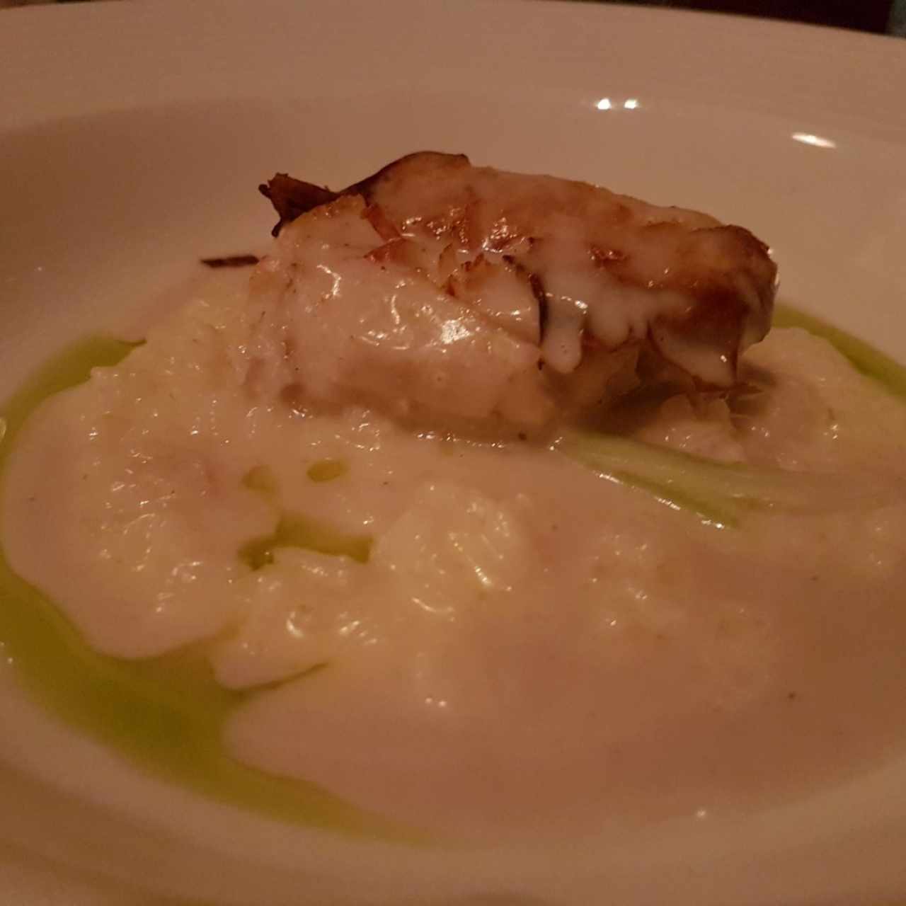 Corvina a la plancha con risotto de limón, crema de coco y gelatina de jengibre