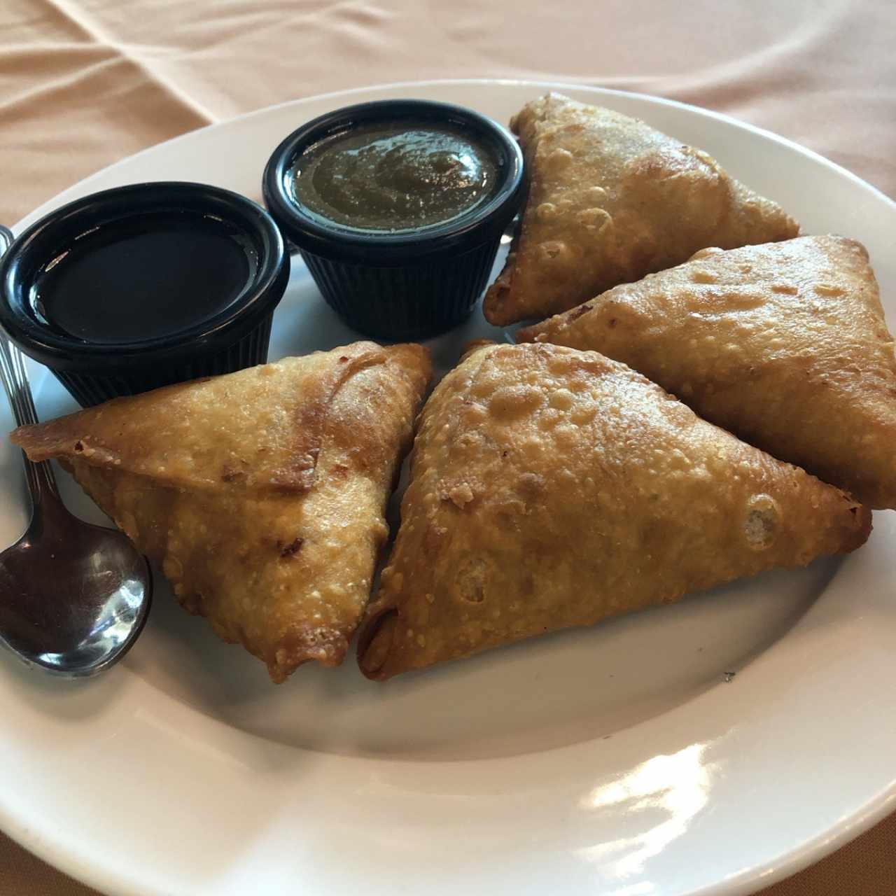 Samosas de pollo