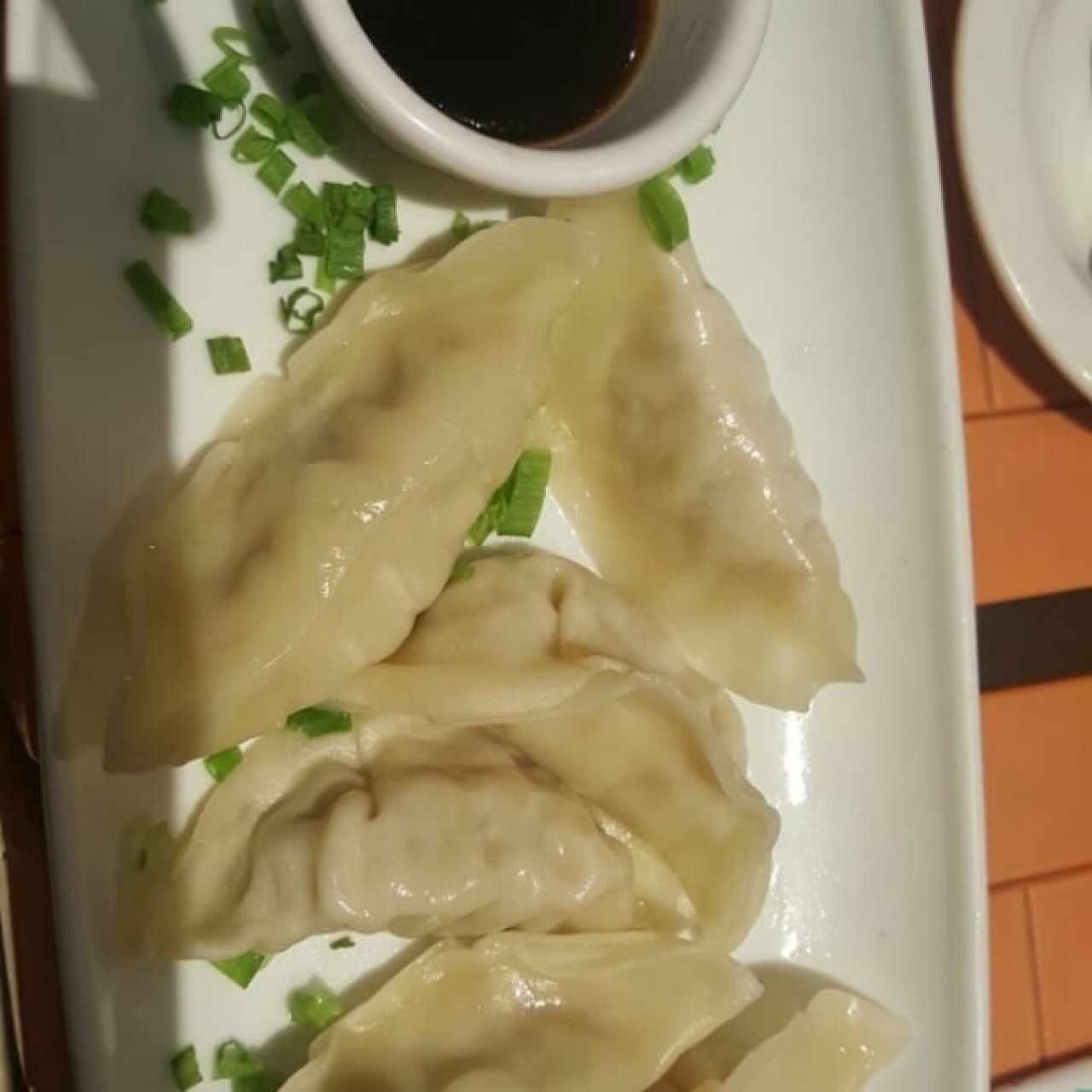 Tentadoras entradas - Gyozas mixtas