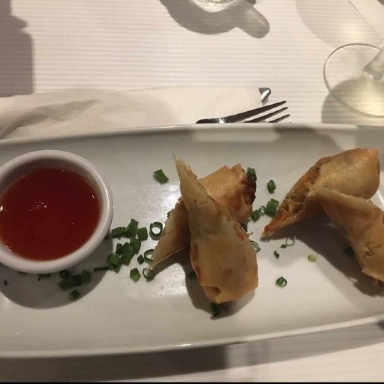 Spring roll de vegetales