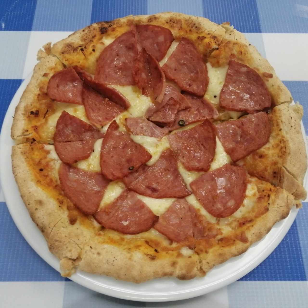 Pizza de Salami (1 ingrediente) 