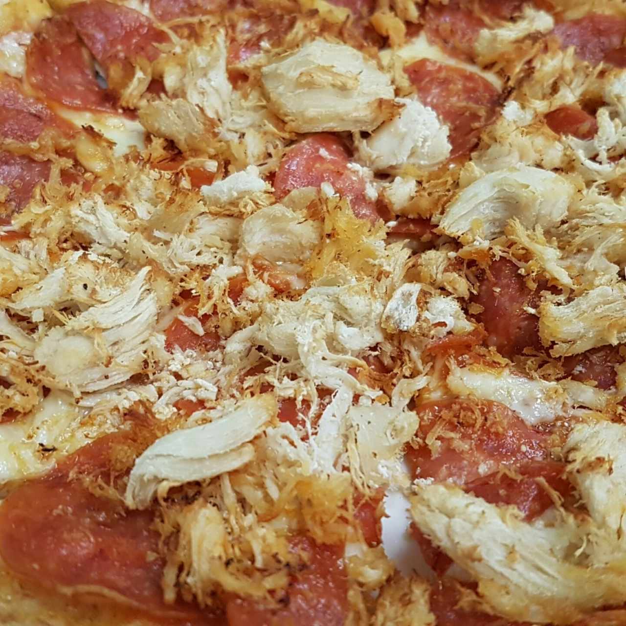 pizza de peperoni y pollo.