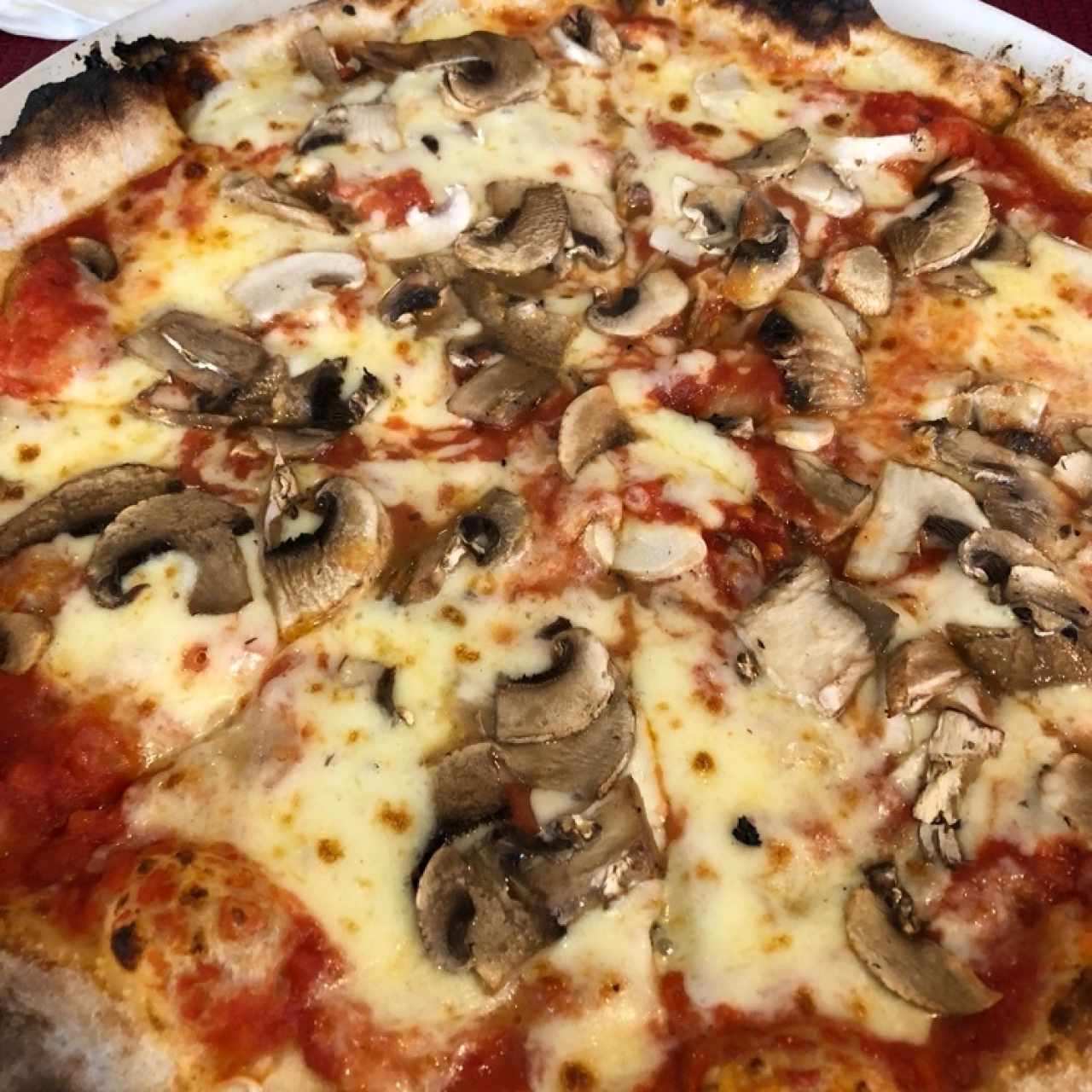 pizza funghi