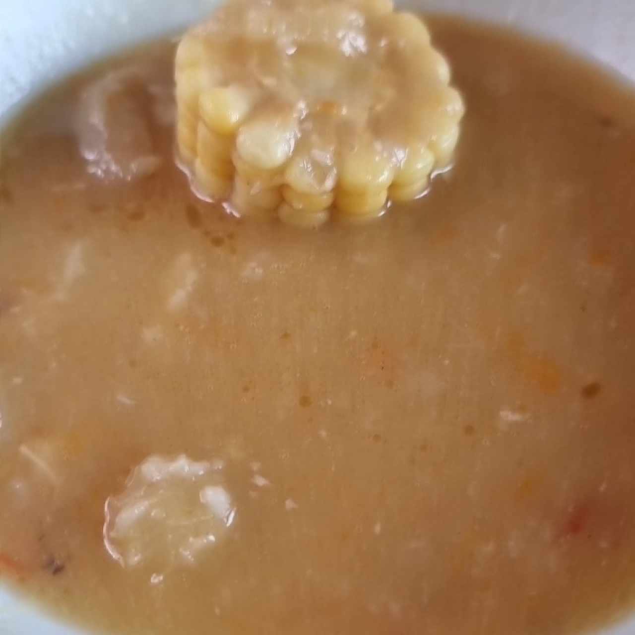 sopa de pata