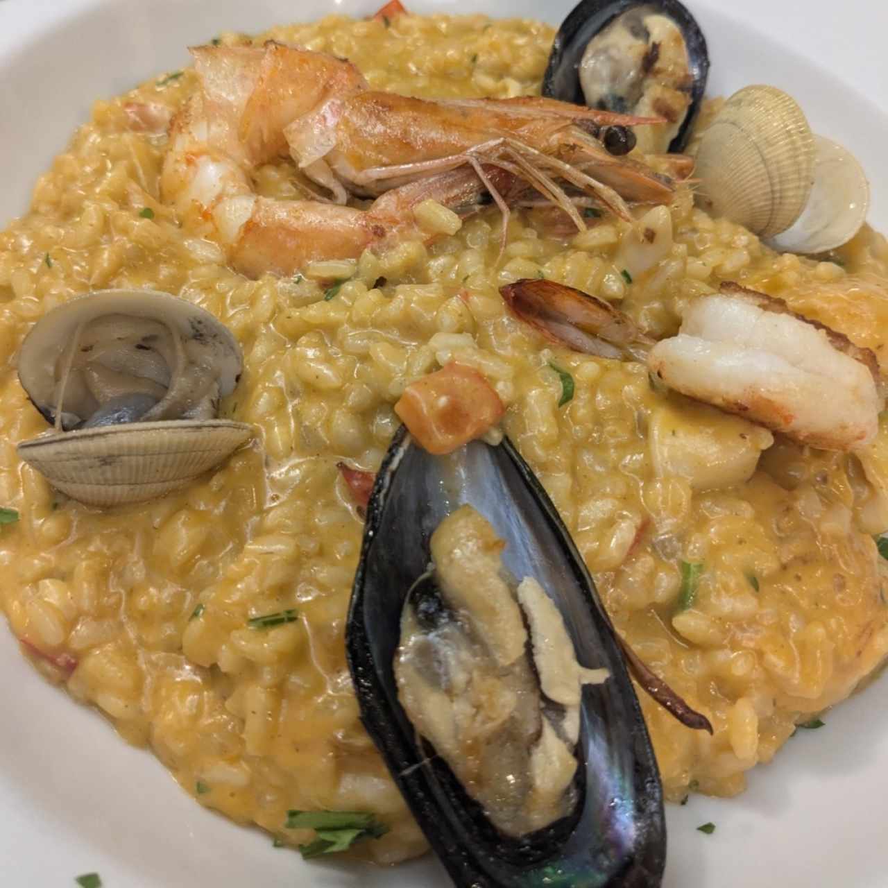 Arroz con Mariscos