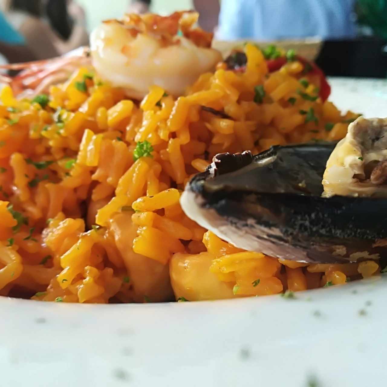 paella plateada