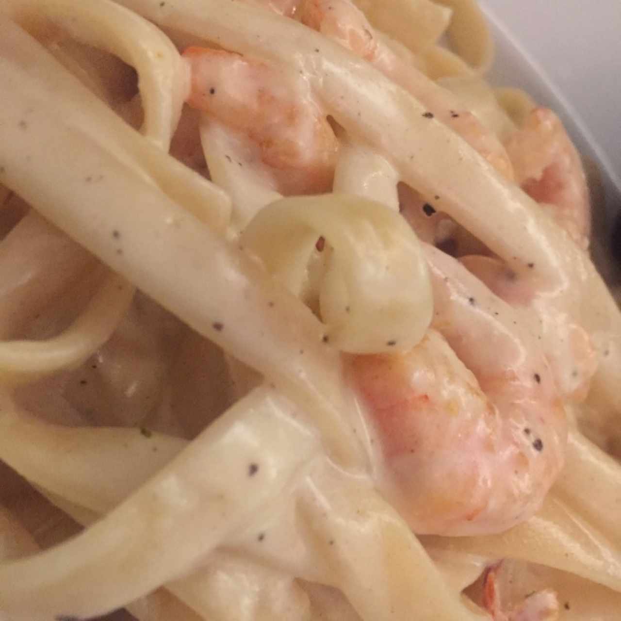 Fetuccini con camarones en salsa alfredo