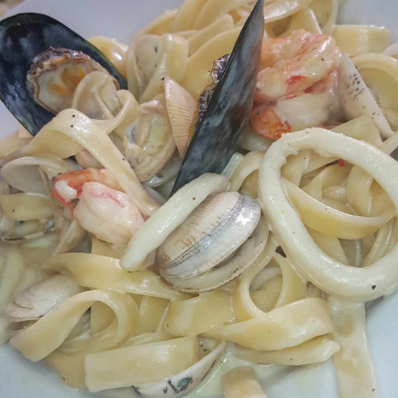 Pastas - Frutto di mare