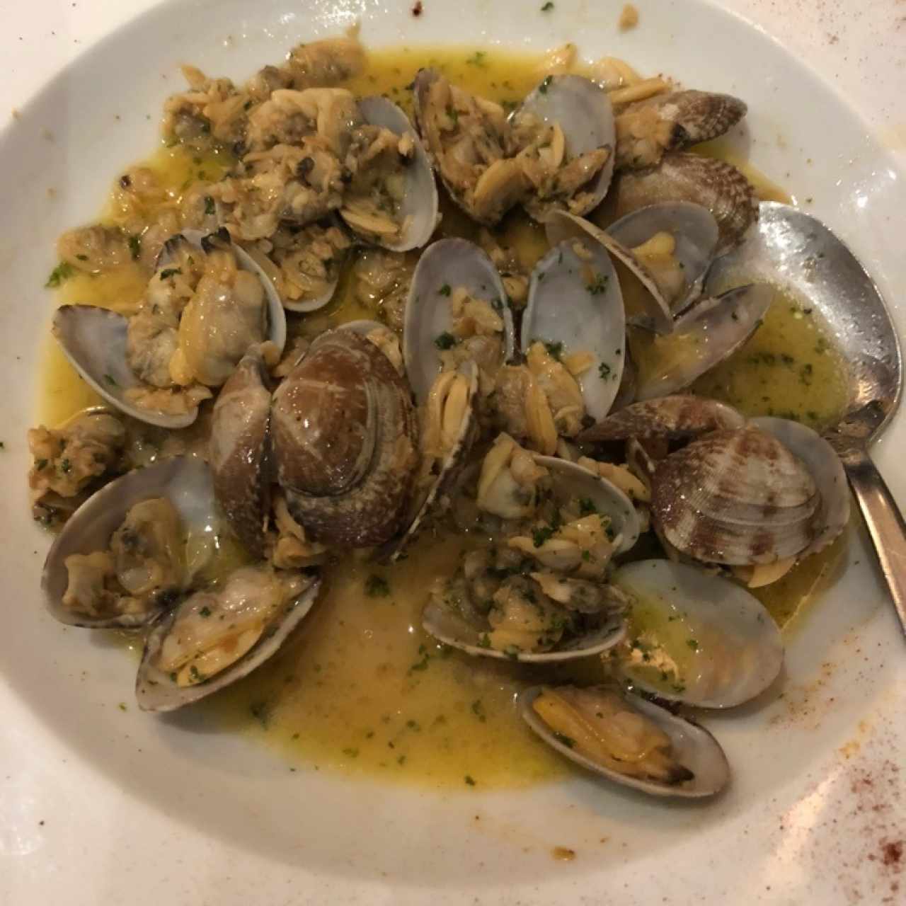 Vongole Importado al Oleo o Pomodoro