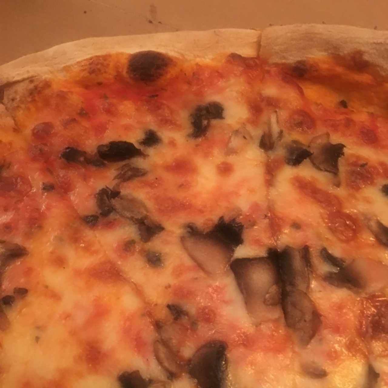 pizza champiñones a domicilio