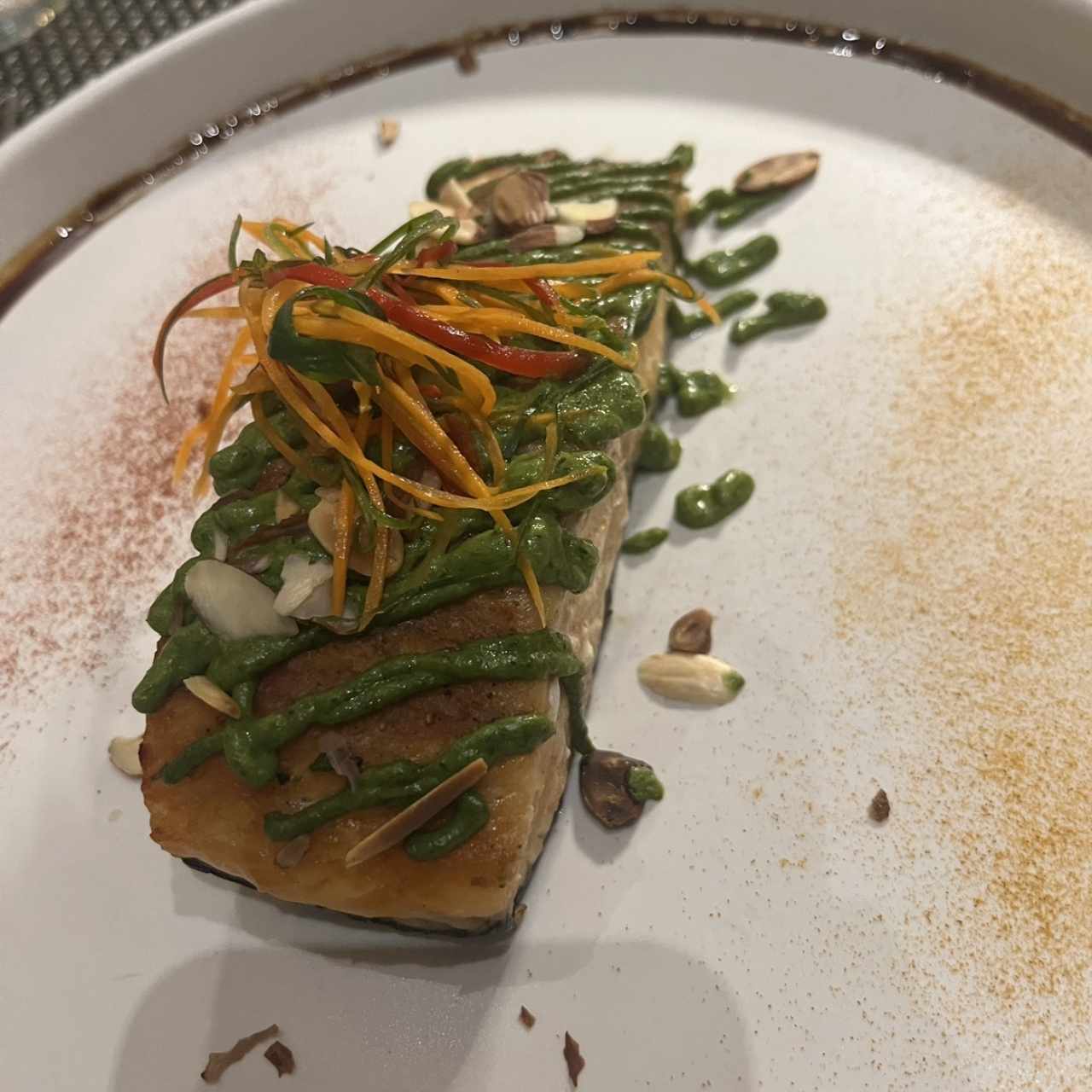 Salmon