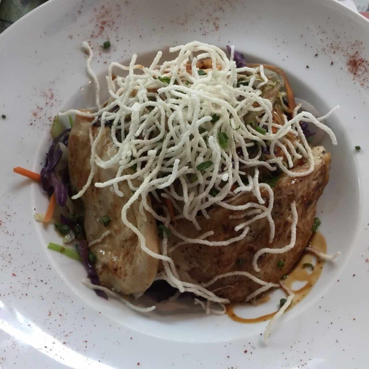 Teriyaki de pollo