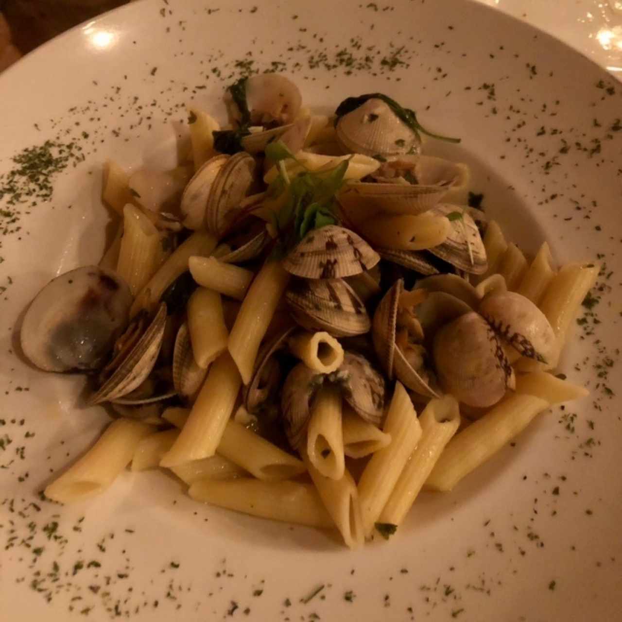 Penne a vongole