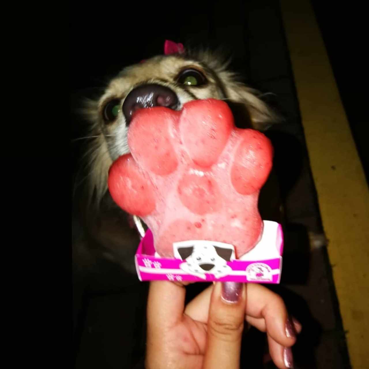 Paleta Pet de Fresa 