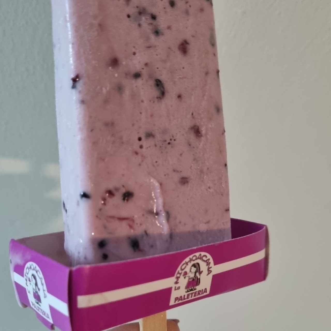 paleta de yogurt de mora