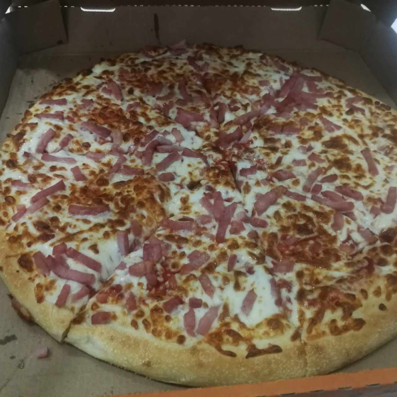 pizza queso y jamon