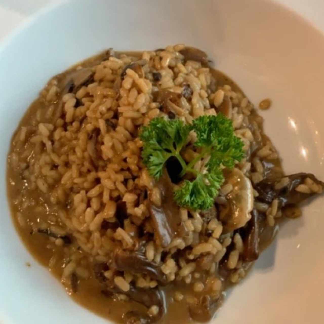 Risotto Fungui