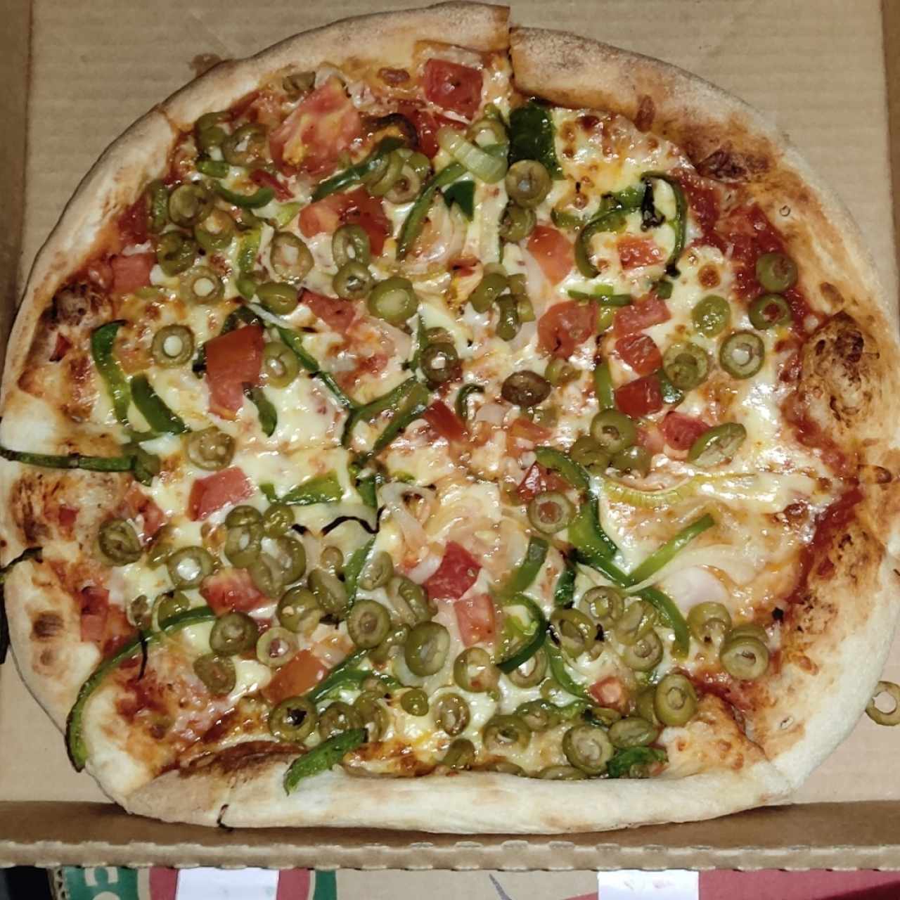 Pizza regular ~ Vegetariana