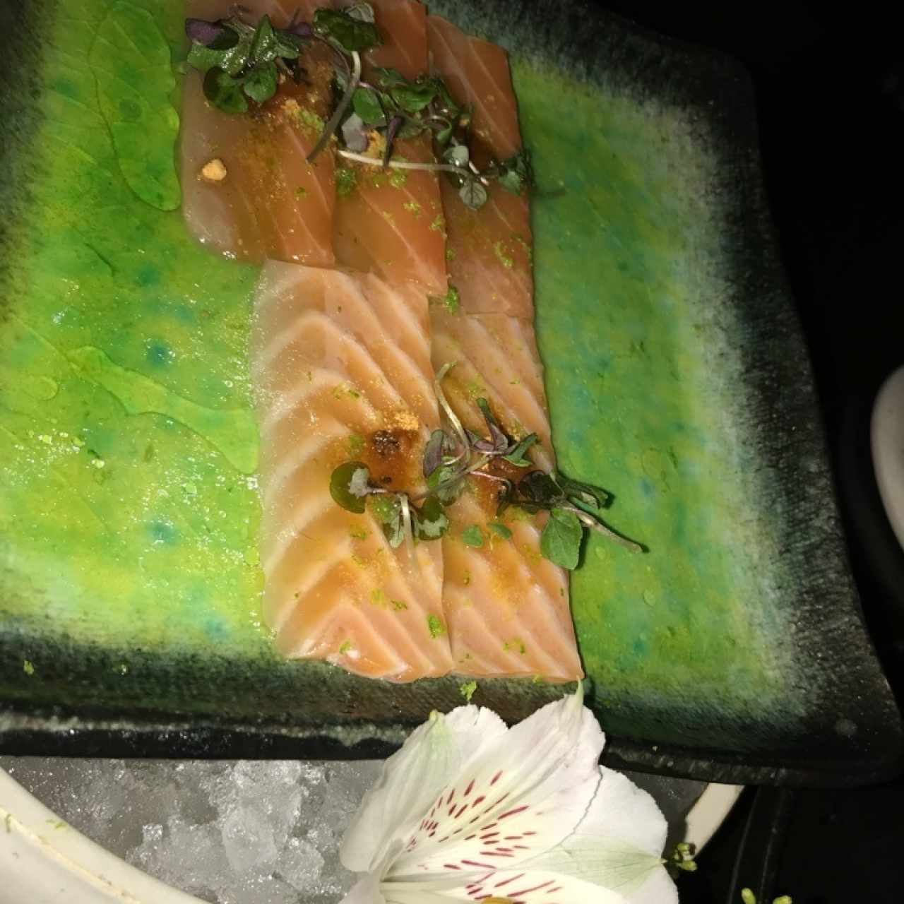 salmon 