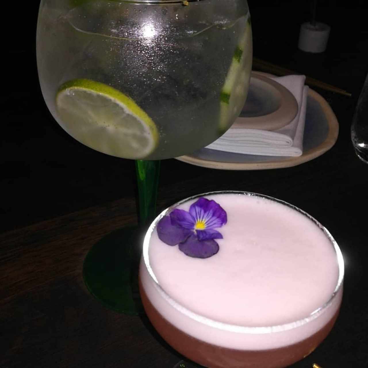 CÓCTELES - MAKOTO GIN Tonic y Haru Seco 